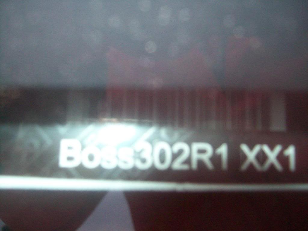 Boss302Rvin.jpg
