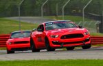 C52_2984.jpg C52_2984.jpg