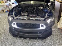 IMG_2370.jpeg
