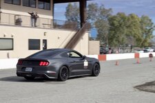 IMG_7643.jpeg