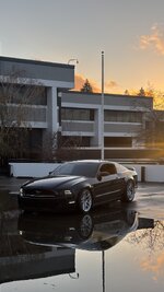 IMG_6632.jpeg