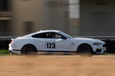 MPH MustangsFords-74-High-3264.jpg