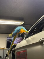 IMG_3873.JPG