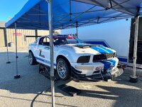 IMG_2020.jpeg