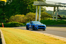 IMG_1188.jpeg