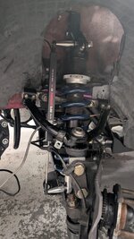 PXL_20250129_224607216.jpg