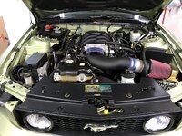 IMG_0080.jpeg