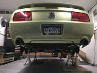 IMG_3186.jpeg