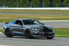 IMG_7529.jpeg