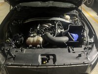 IMG_6127.jpeg