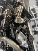 IMG_1967.jpeg
