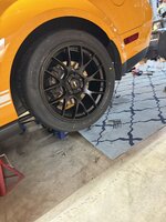 IMG_3885.jpeg