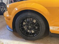 IMG_3893.jpeg