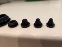 1000020936.jpg