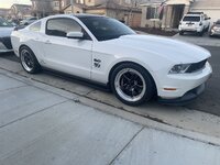 IMG_6665.jpeg