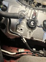 IMG_1403.JPG IMG_1403.JPG