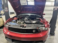 IMG_1368.JPG