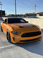 IMG_2992.jpeg