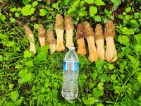 20250504_101139.jpg