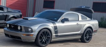 Mustang purchase.JPG
