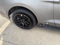IMG_4373.jpeg