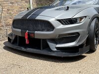 IMG_4358.jpeg