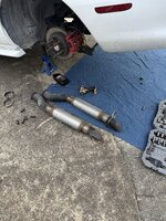 IMG_2937.jpeg