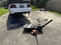 IMG_2948.jpeg
