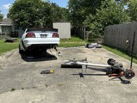 IMG_2978.jpeg