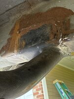 IMG_2960.jpeg