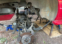 IMG_2987.jpeg