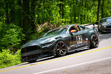 IMG_2186.jpeg
