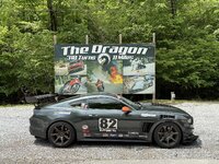 IMG_2036.jpeg