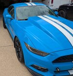 PXL_20250524_161153555~2.jpg