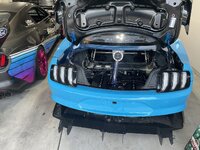 IMG_0900.jpeg