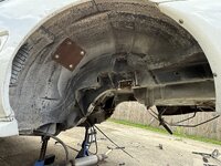 IMG_3225.jpeg