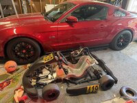 IMG_1529.jpeg IMG_1529.jpeg