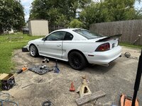 IMG_3458.jpeg