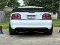IMG_3466.jpeg