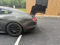 IMG_1381.jpeg IMG_1381.jpeg