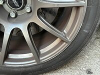 IMG_9343.jpeg IMG_9343.jpeg