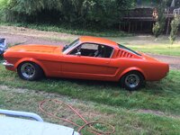 Fastback...JPG