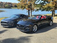 Cars.jpg Cars.jpg