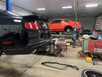 IMG_6983.jpeg