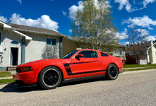 IMG_3252.jpeg