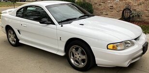 cobra1.jpg