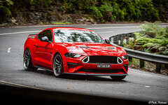 IMG_1059-1044-Original File.jpg