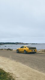 IMG_6356.jpg