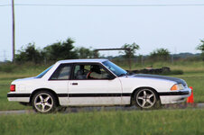 IMG_9456.JPG