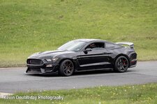 IMG_2165.jpeg